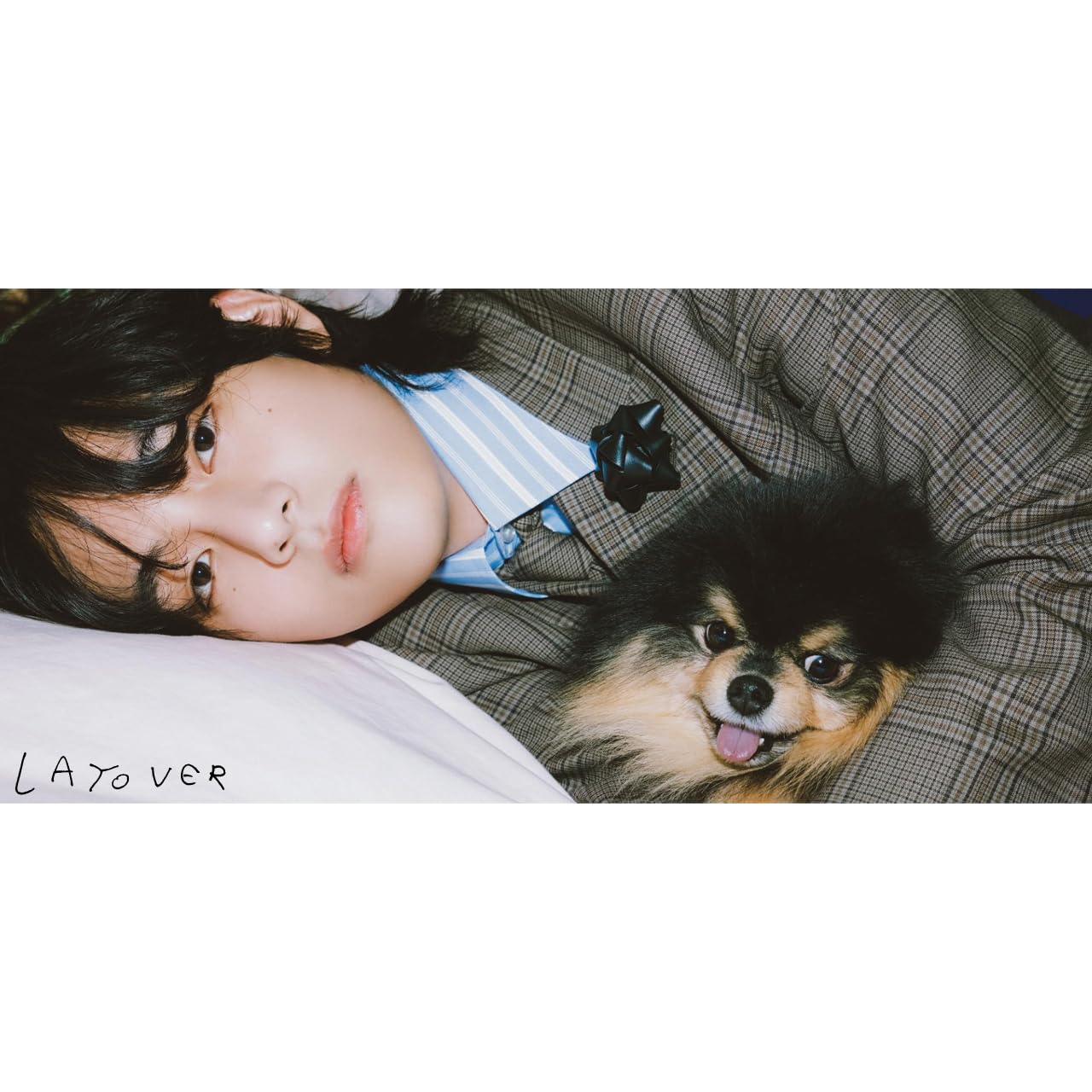 Amazon.co.jp: 防弾少年団 ヴィ テヒョン パノラマポスター (バンタン